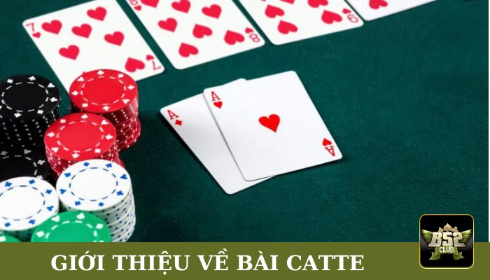 Giới thiệu về bài Catte B52club