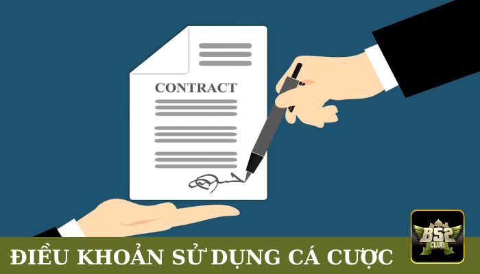 Điều khoản khi sử dụng dịch vụ cá cược