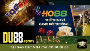 tại sao các nhà cái có đuôi 88